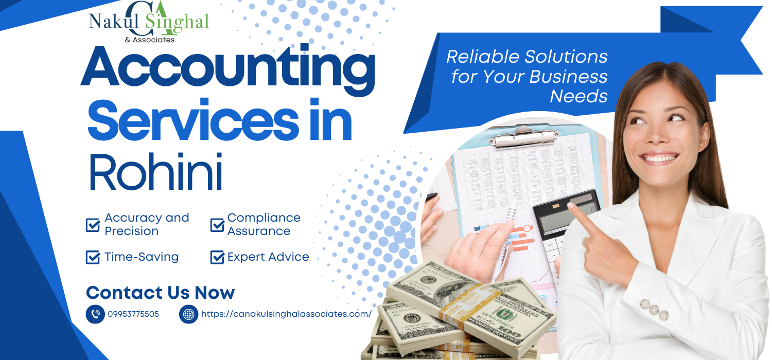 Accounting Services in Rohini